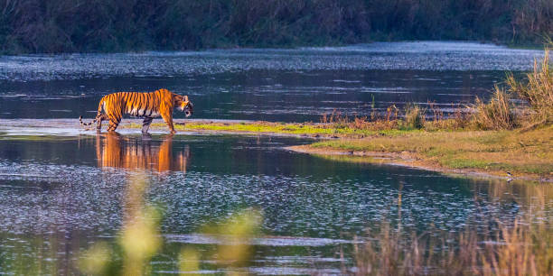 Bardia National Park