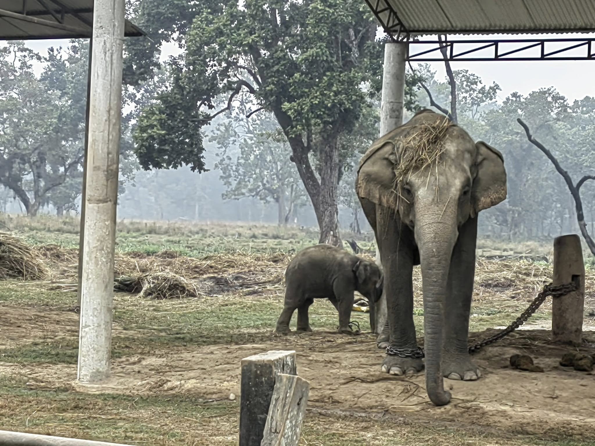 Chitwan National Park